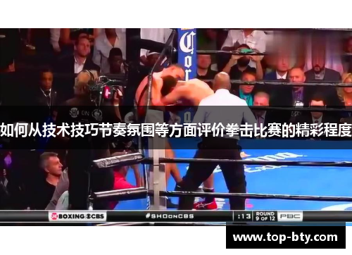 如何从技术技巧节奏氛围等方面评价拳击比赛的精彩程度