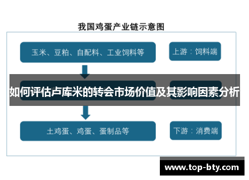 如何评估卢库米的转会市场价值及其影响因素分析